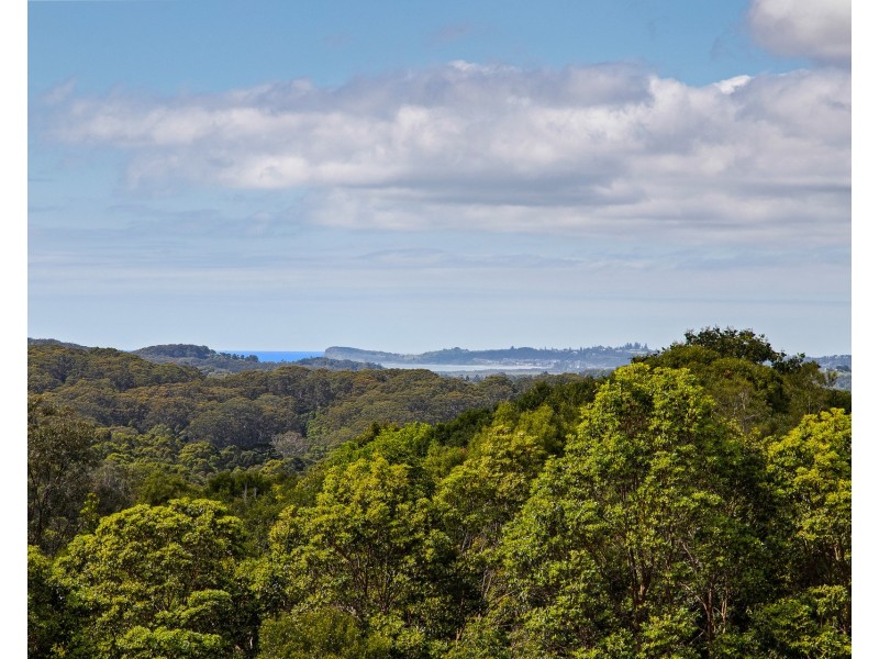 17 Kamala Court, Coopers Shoot NSW 2479