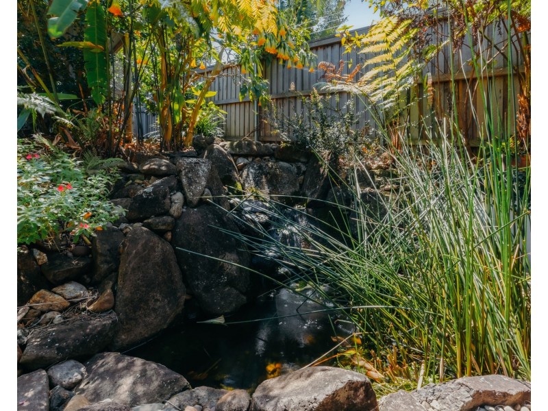 77 Beech Drive, Suffolk Park NSW 2481