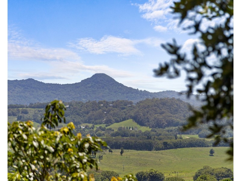 1 Wilsons Creek Road, Wilsons Creek NSW 2482