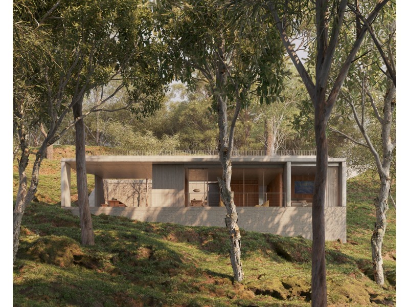 1 Wilsons Creek Road, Wilsons Creek NSW 2482