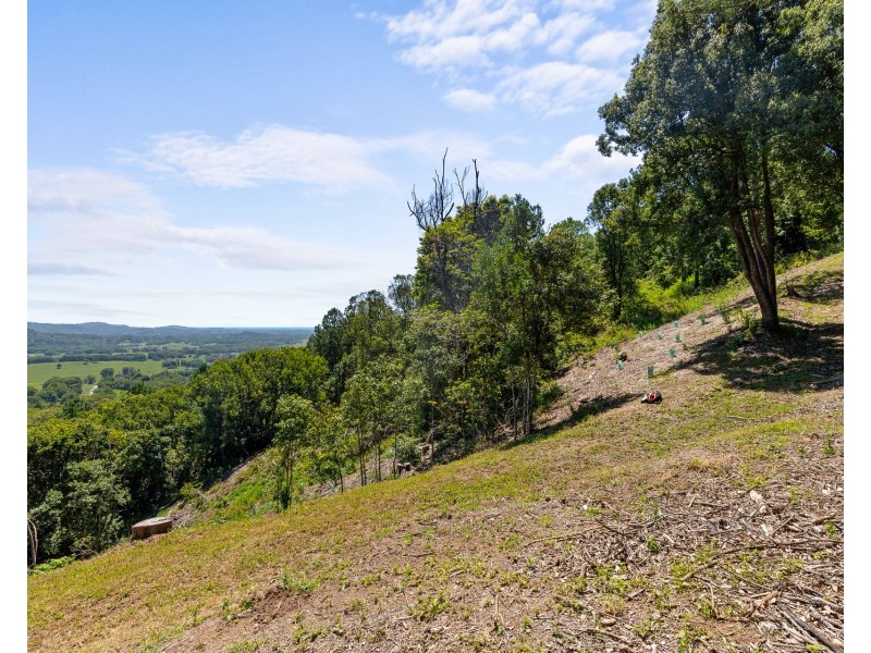 1 Wilsons Creek Road, Wilsons Creek NSW 2482