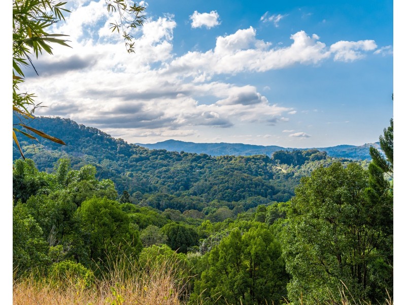 1 Wilsons Creek Road, Wilsons Creek NSW 2482