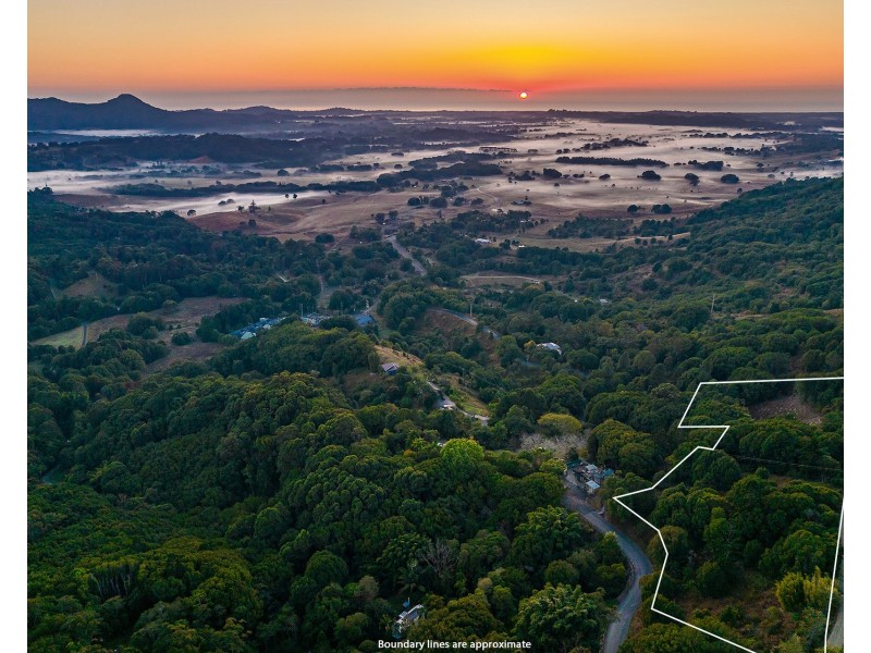 1 Wilsons Creek Road, Wilsons Creek NSW 2482