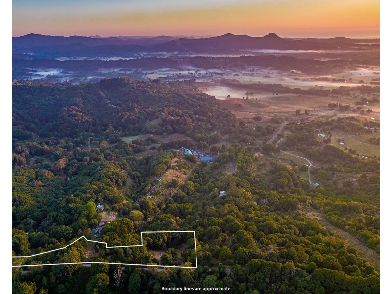 1 Wilsons Creek Road, Wilsons Creek NSW 2482