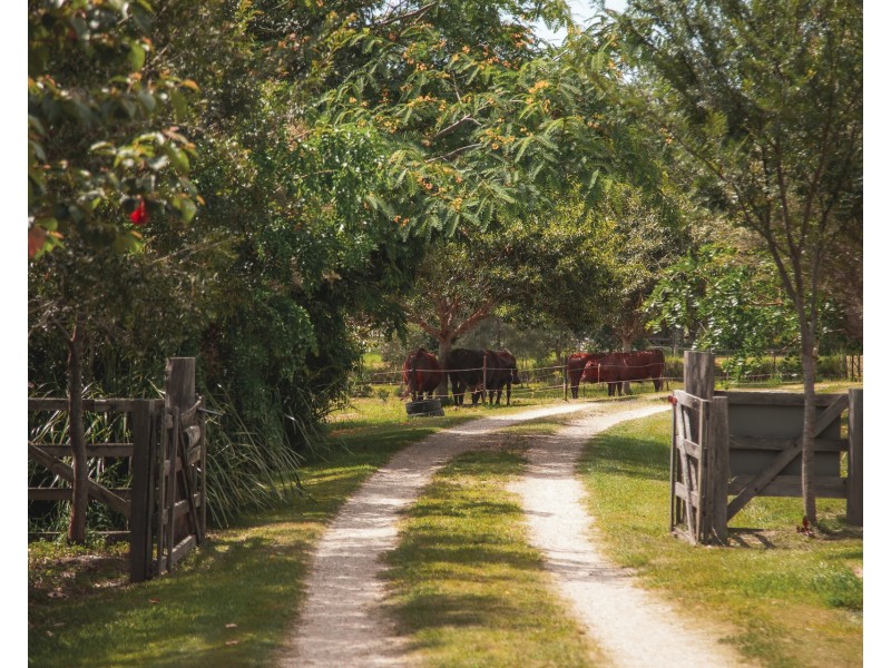 156 The Pocket Road, Billinudgel NSW 2483