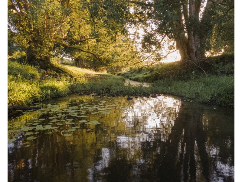 156 The Pocket Road, Billinudgel NSW 2483