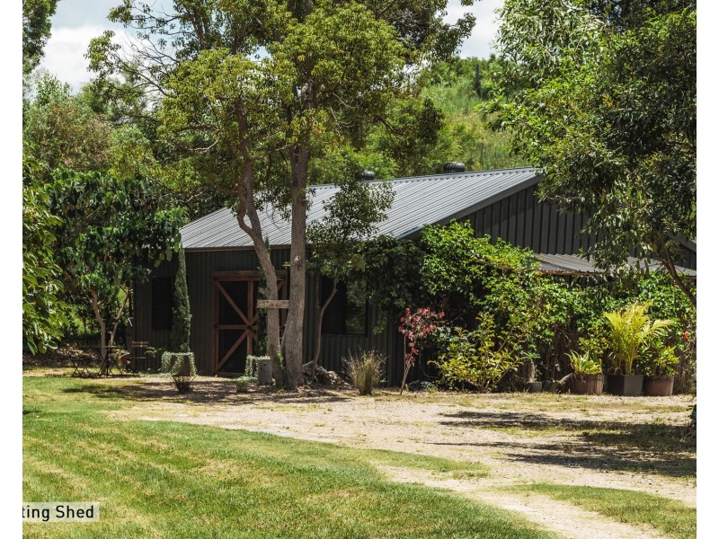 156 The Pocket Road, Billinudgel NSW 2483