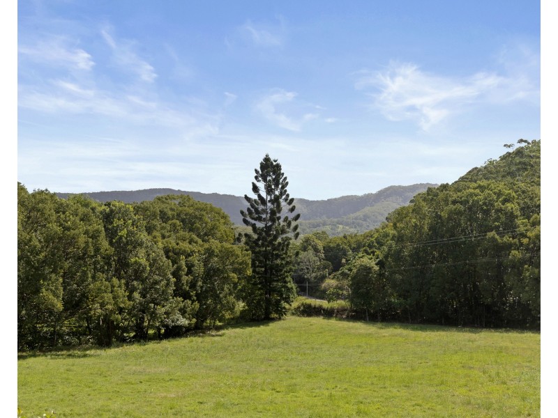 1 Settlement Road, Main Arm NSW 2482