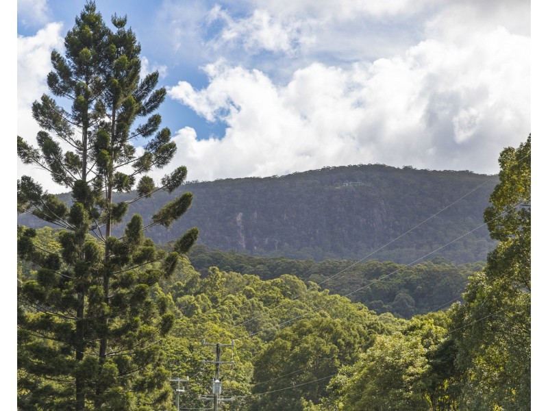 1 Settlement Road, Main Arm NSW 2482