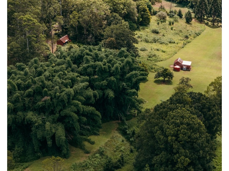 253 Eureka Road, Rosebank NSW 2480