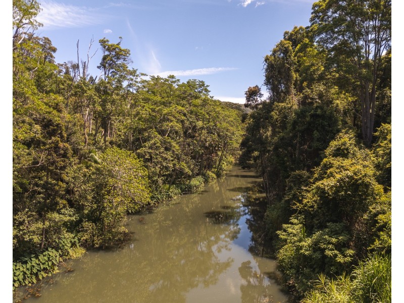 169 Cedar Road, Wilsons Creek NSW 2482