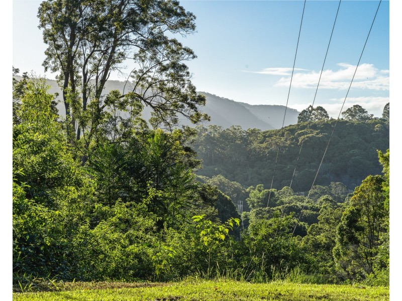 169 Cedar Road, Wilsons Creek NSW 2482