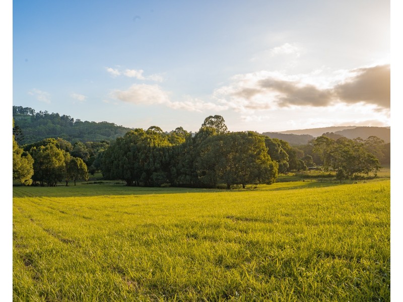 584 The Pocket Road, The Pocket NSW 2483