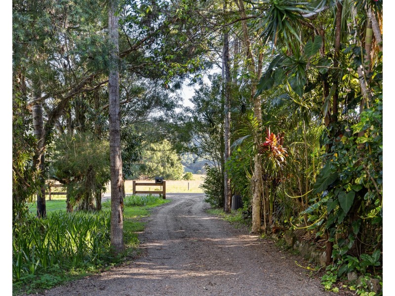 584 The Pocket Road, The Pocket NSW 2483