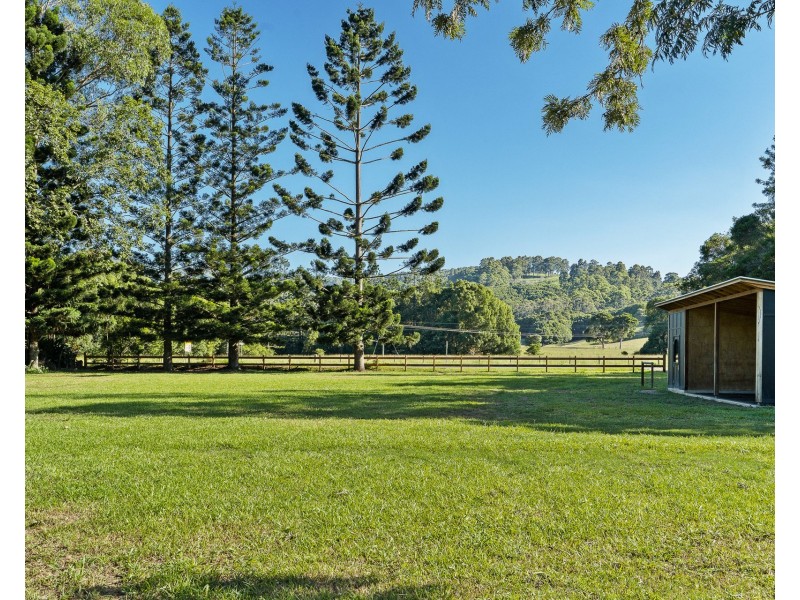 584 The Pocket Road, The Pocket NSW 2483