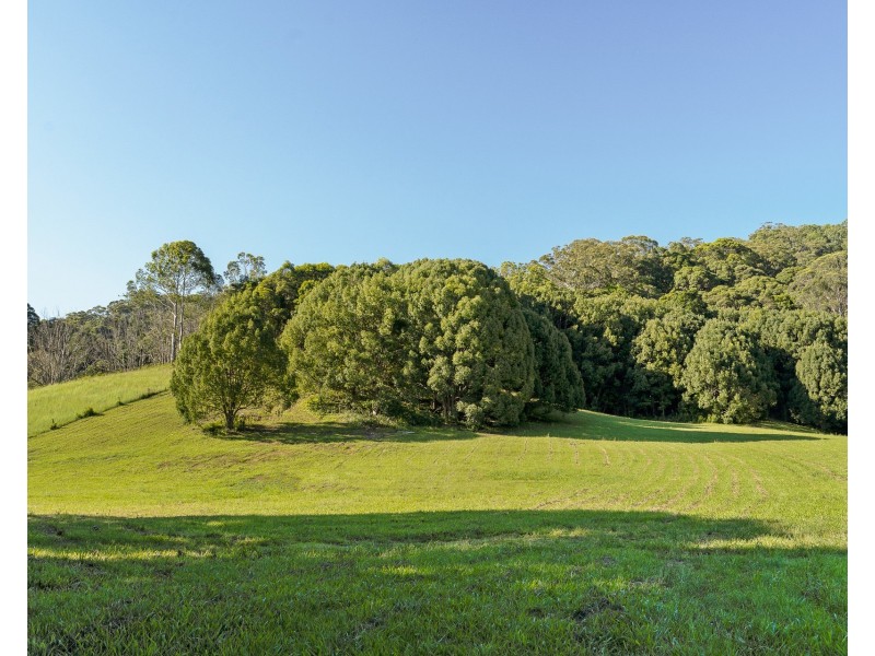 584 The Pocket Road, The Pocket NSW 2483