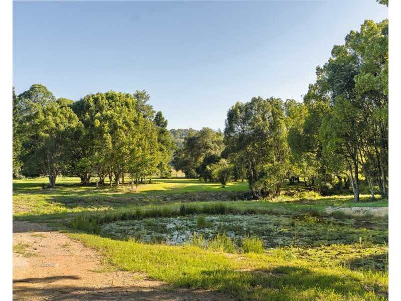 584 The Pocket Road, The Pocket NSW 2483