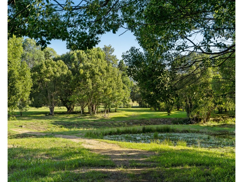 584 The Pocket Road, The Pocket NSW 2483