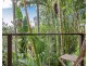 5 Cavvanbah Street, Byron Bay NSW 2481