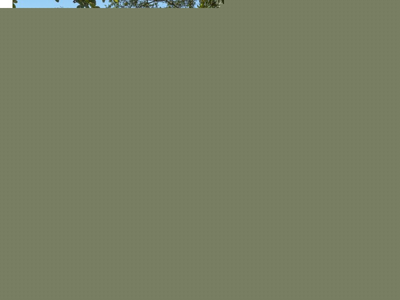 240 The Manse Road, Myocum NSW 2481