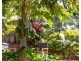11 Dalmacia Drive, Wollongbar NSW 2477