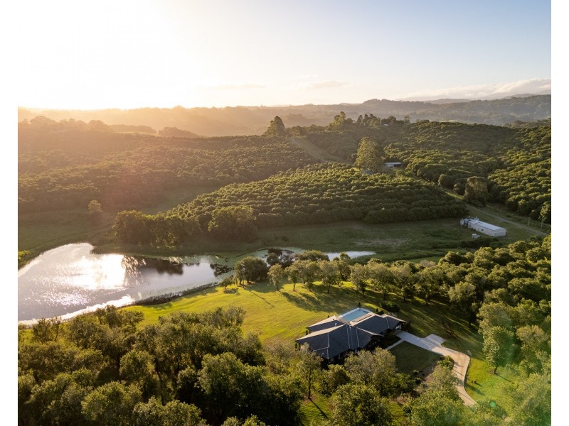 1 Lychee Drive, Rosebank NSW 2480