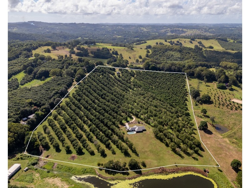 1 Lychee Drive, Rosebank NSW 2480