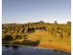 1 Lychee Drive, Rosebank NSW 2480