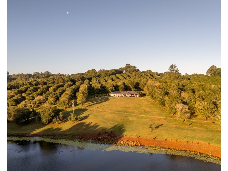 1 Lychee Drive, Rosebank NSW 2480