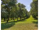1 Lychee Drive, Rosebank NSW 2480