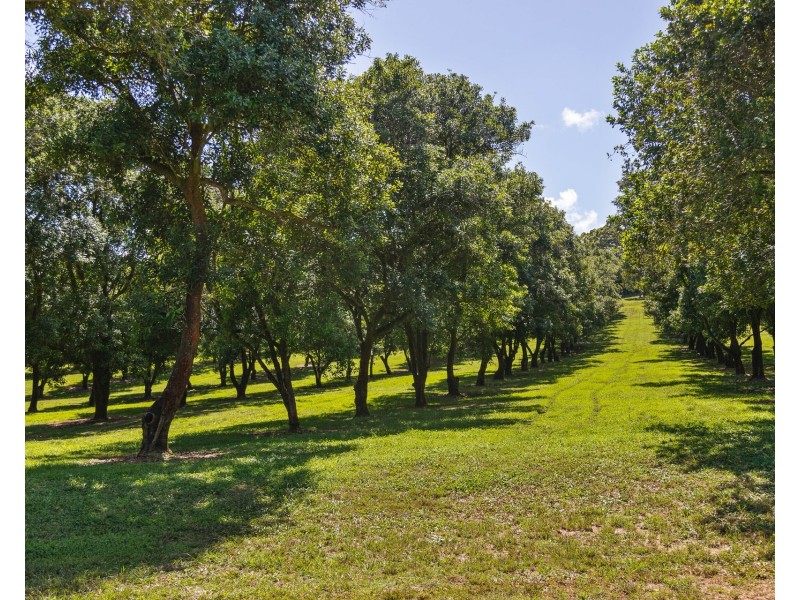 1 Lychee Drive, Rosebank NSW 2480