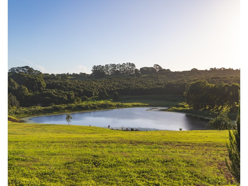 1 Lychee Drive, Rosebank NSW 2480