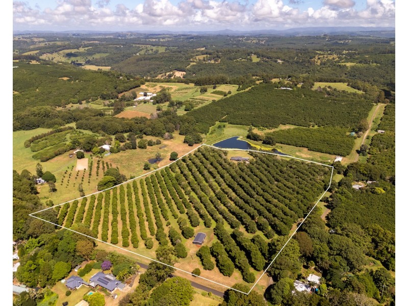 1 Lychee Drive, Rosebank NSW 2480