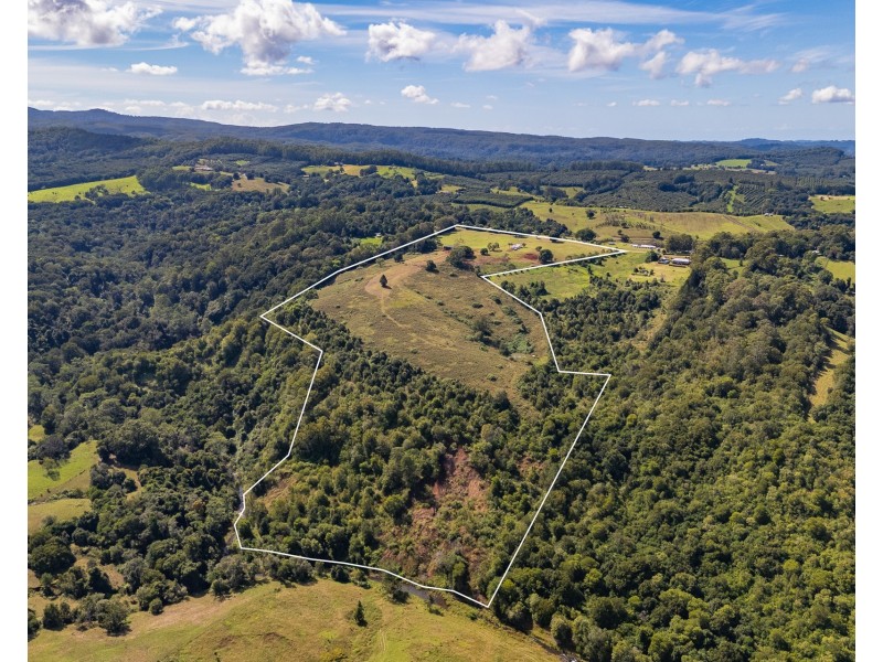 371 Whian Whian Road, Whian Whian NSW 2480