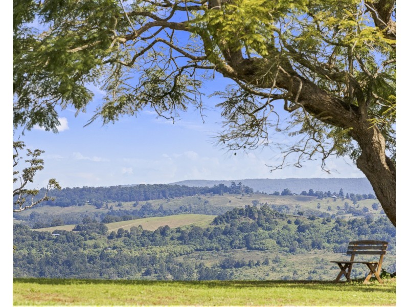 371 Whian Whian Road, Whian Whian NSW 2480