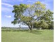 371 Whian Whian Road, Whian Whian NSW 2480