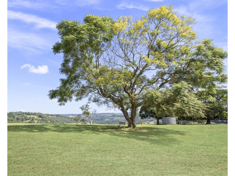 371 Whian Whian Road, Whian Whian NSW 2480