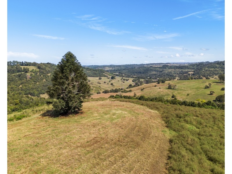 371 Whian Whian Road, Whian Whian NSW 2480