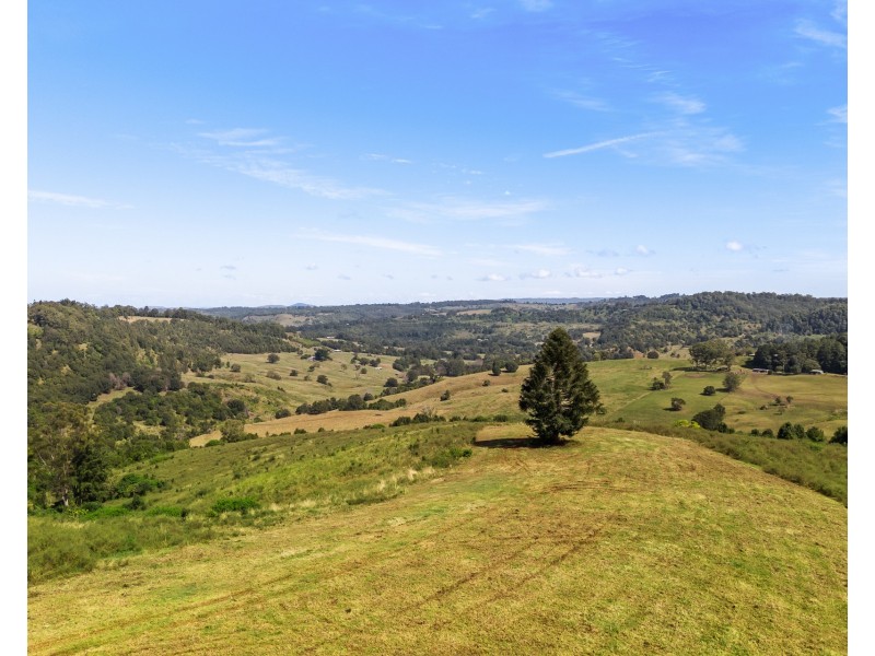 371 Whian Whian Road, Whian Whian NSW 2480