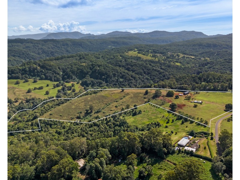 371 Whian Whian Road, Whian Whian NSW 2480