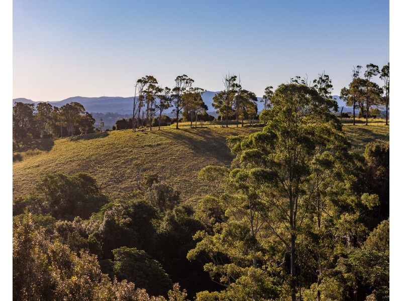 783 Fernleigh Road, Brooklet NSW 2479