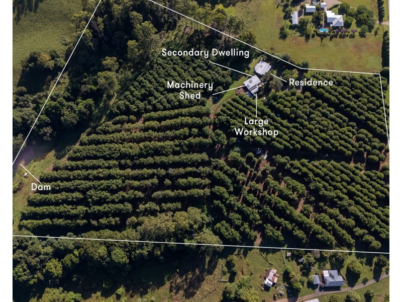 783 Fernleigh Road, Brooklet NSW 2479