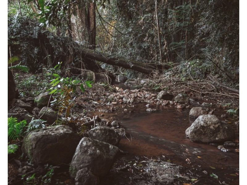 783 Fernleigh Road, Brooklet NSW 2479