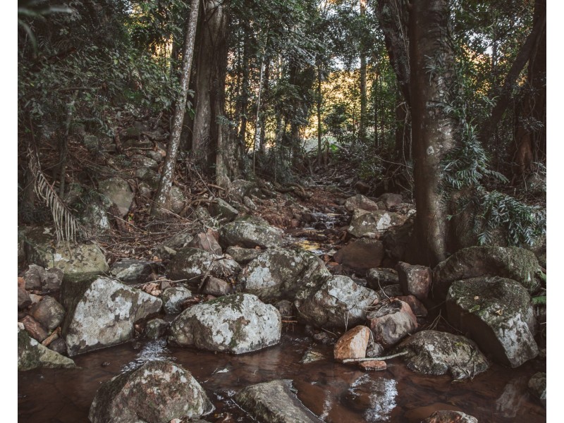 783 Fernleigh Road, Brooklet NSW 2479