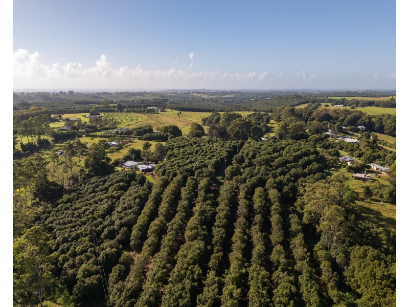 783 Fernleigh Road, Brooklet NSW 2479