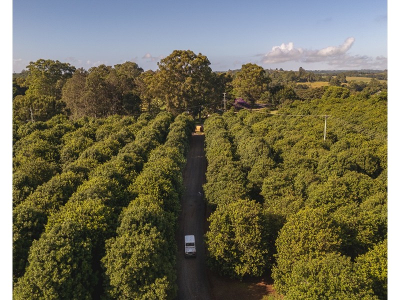 783 Fernleigh Road, Brooklet NSW 2479