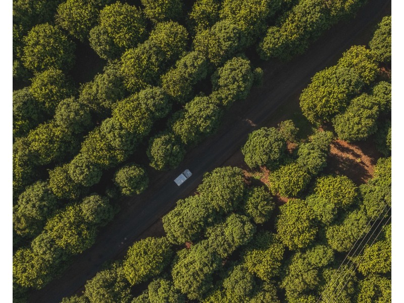 783 Fernleigh Road, Brooklet NSW 2479