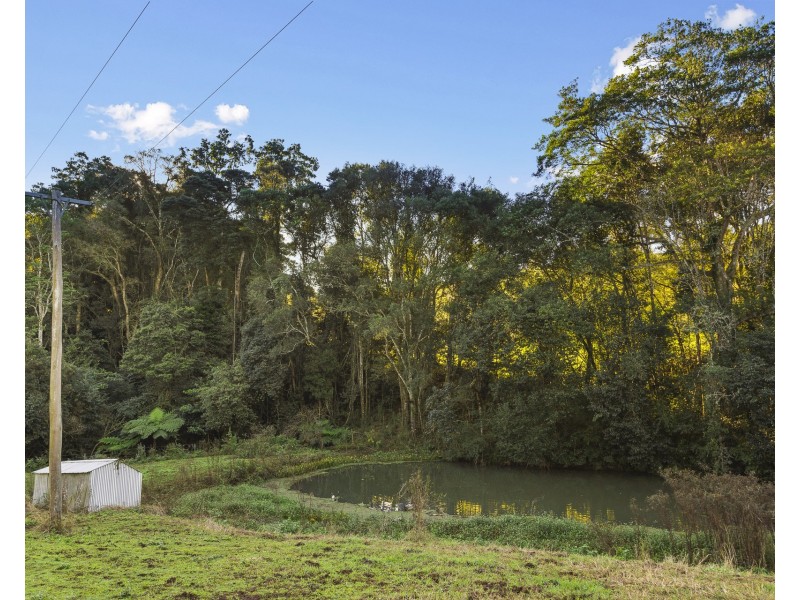 783 Fernleigh Road, Brooklet NSW 2479