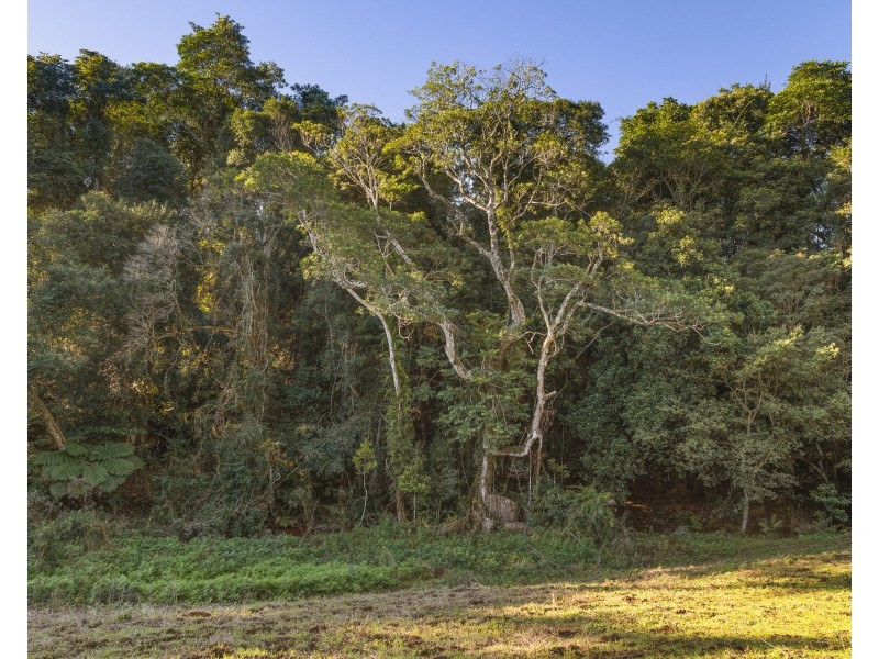 783 Fernleigh Road, Brooklet NSW 2479