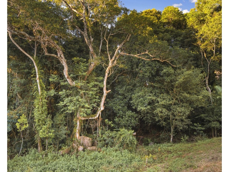 783 Fernleigh Road, Brooklet NSW 2479